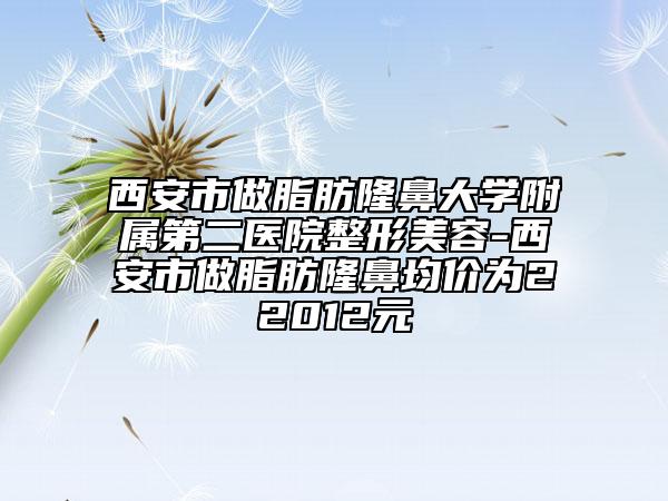 西安市做脂肪隆鼻大学附属第二医院整形美容-西安市做脂肪隆鼻均价为22012元