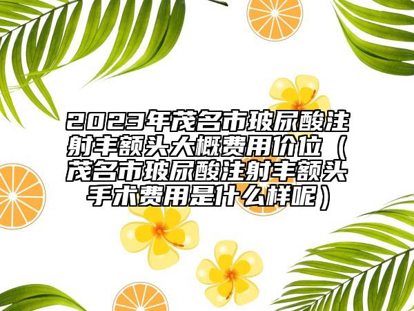 2023年茂名市玻尿酸注射丰额头大概费用价位（茂名市玻尿酸注射丰额头手术费用是什么样呢）