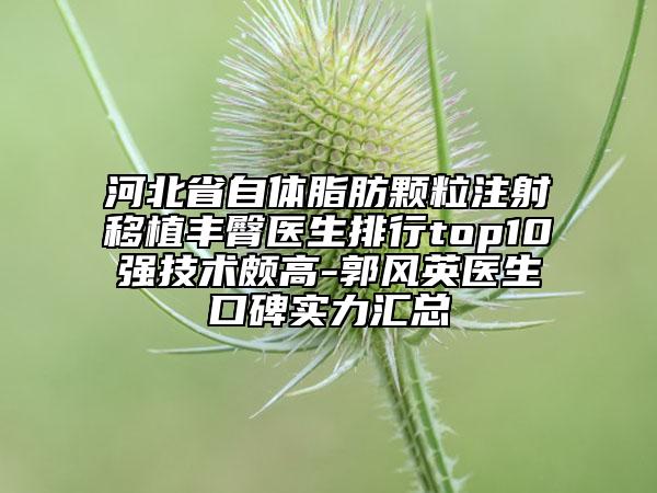 河北省自体脂肪颗粒注射移植丰臀医生排行top10强技术颇高-郭风英医生口碑实力汇总