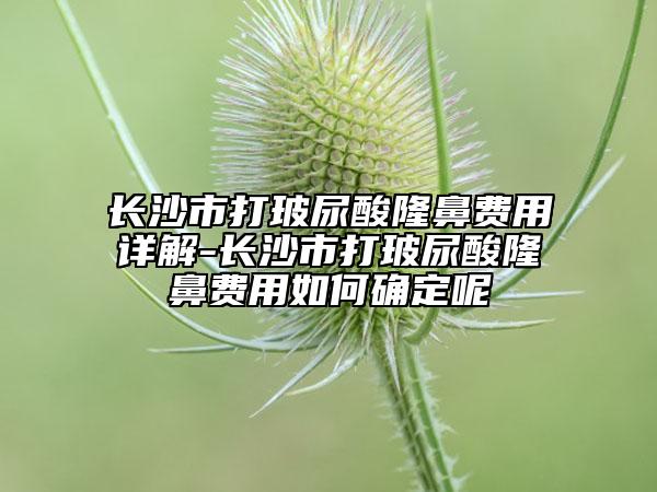 长沙市打玻尿酸隆鼻费用详解-长沙市打玻尿酸隆鼻费用如何确定呢