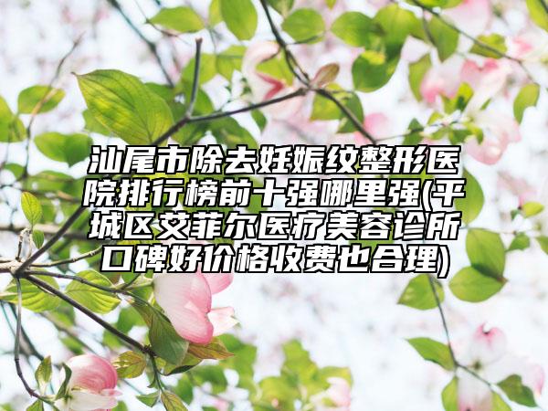 汕尾市除去妊娠纹整形医院排行榜前十强哪里强(平城区艾菲尔医疗美容诊所口碑好价格收费也合理)