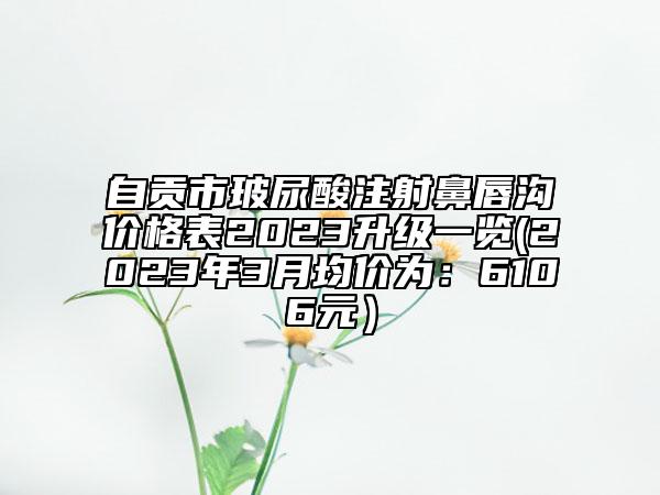 自贡市玻尿酸注射鼻唇沟价格表2023升级一览(2023年3月均价为：6106元）