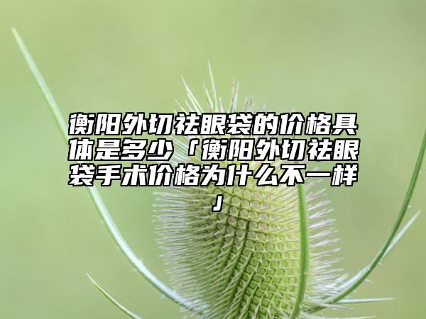 衡阳外切祛眼袋的价格具体是多少「衡阳外切祛眼袋手术价格为什么不一样」