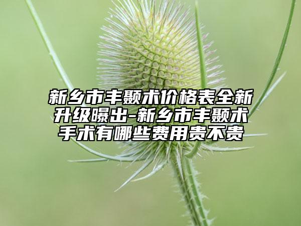 新乡市丰颞术价格表全新升级曝出-新乡市丰颞术手术有哪些费用贵不贵