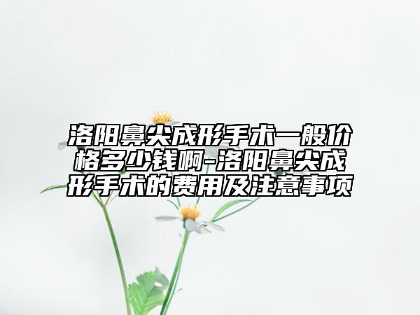 洛阳鼻尖成形手术一般价格多少钱啊-洛阳鼻尖成形手术的费用及注意事项