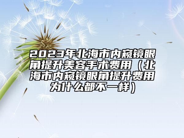 2023年北海市内窥镜眼角提升美容手术费用（北海市内窥镜眼角提升费用为什么都不一样）