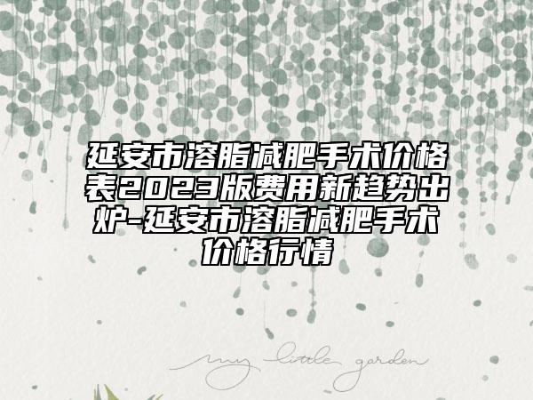 延安市溶脂减肥手术价格表2023版费用新趋势出炉-延安市溶脂减肥手术价格行情