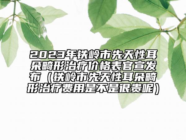 2023年铁岭市先天性耳朵畸形治疗价格表官宣发布（铁岭市先天性耳朵畸形治疗费用是不是很贵呢）