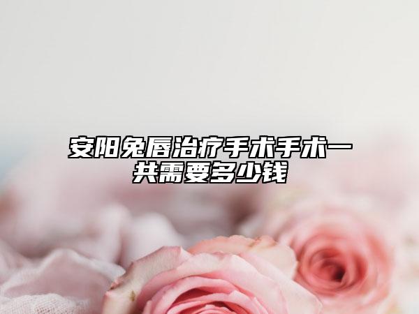 安阳兔唇治疗手术手术一共需要多少钱