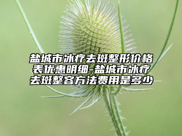 盐城市冰疗去斑整形价格表优惠明细-盐城市冰疗去斑整容方法费用是多少