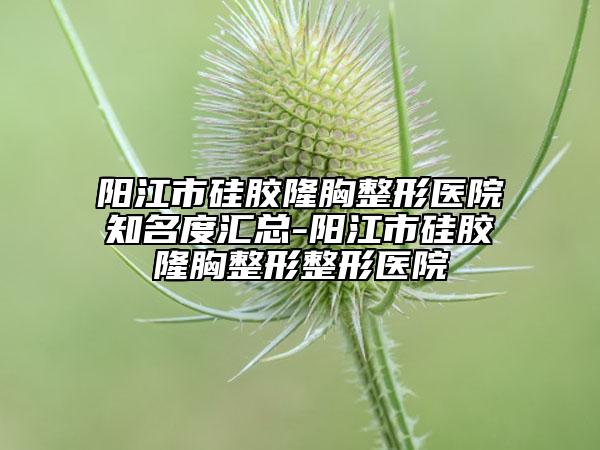 阳江市硅胶隆胸整形医院知名度汇总-阳江市硅胶隆胸整形整形医院