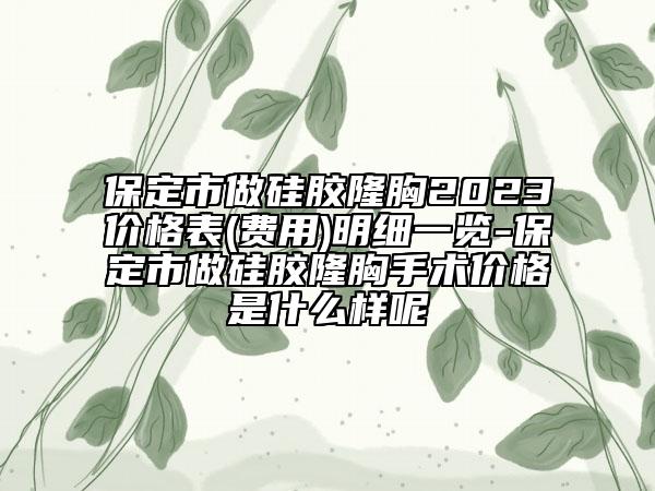 保定市做硅胶隆胸2023价格表(费用)明细一览-保定市做硅胶隆胸手术价格是什么样呢