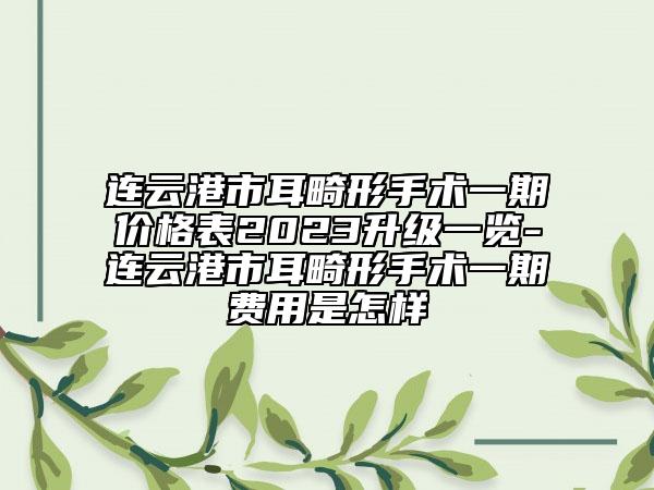 连云港市耳畸形手术一期价格表2023升级一览-连云港市耳畸形手术一期费用是怎样