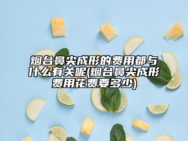 烟台鼻尖成形的费用都与什么有关呢(烟台鼻尖成形费用花费要多少)