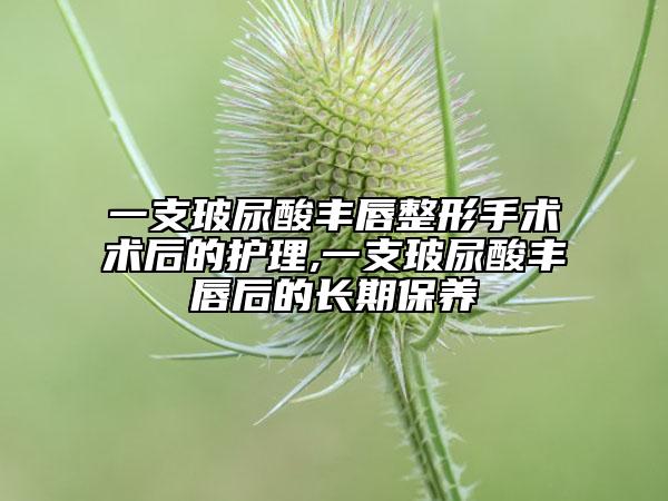 一支玻尿酸丰唇整形手术术后的护理,一支玻尿酸丰唇后的长期保养