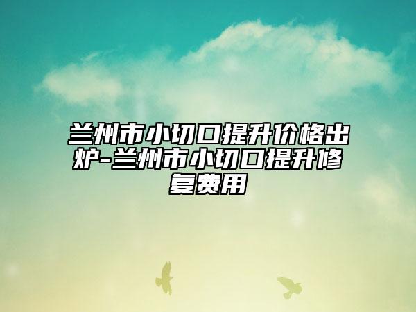 兰州市小切口提升价格出炉-兰州市小切口提升修复费用