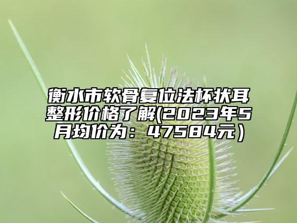 衡水市软骨复位法杯状耳整形价格了解(2023年5月均价为：47584元）