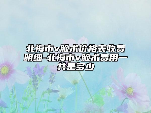 北海市v脸术价格表收费明细-北海市v脸术费用一共是多少