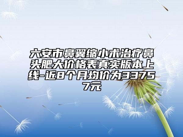 六安市鼻翼缩小术治疗鼻头肥大价格表真实版本上线-近8个月均价为33757元