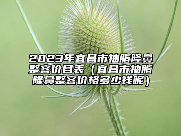 2023年宜昌市抽脂隆鼻整容价目表（宜昌市抽脂隆鼻整容价格多少钱呢）