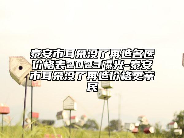泰安市耳朵没了再造名医价格表2023曝光-泰安市耳朵没了再造价格更亲民