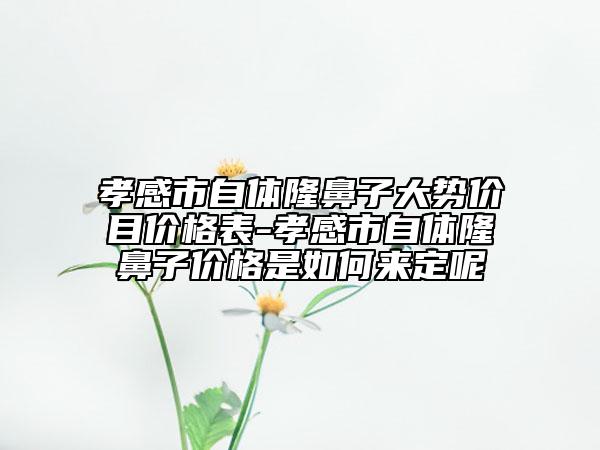 孝感市自体隆鼻子大势价目价格表-孝感市自体隆鼻子价格是如何来定呢