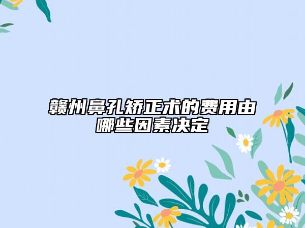 赣州鼻孔矫正术的费用由哪些因素决定