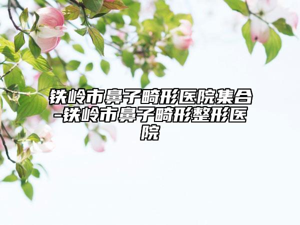 铁岭市鼻子畸形医院集合-铁岭市鼻子畸形整形医院