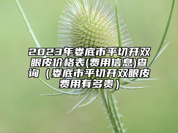 2023年娄底市平切开双眼皮价格表(费用信息)查询（娄底市平切开双眼皮费用有多贵）