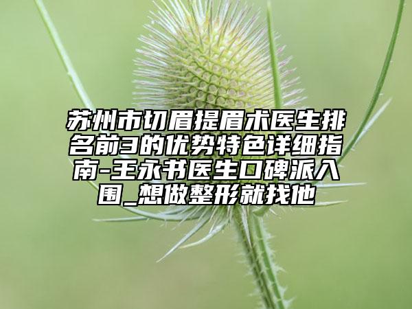 苏州市切眉提眉术医生排名前3的优势特色详细指南-王永书医生口碑派入围_想做整形就找他