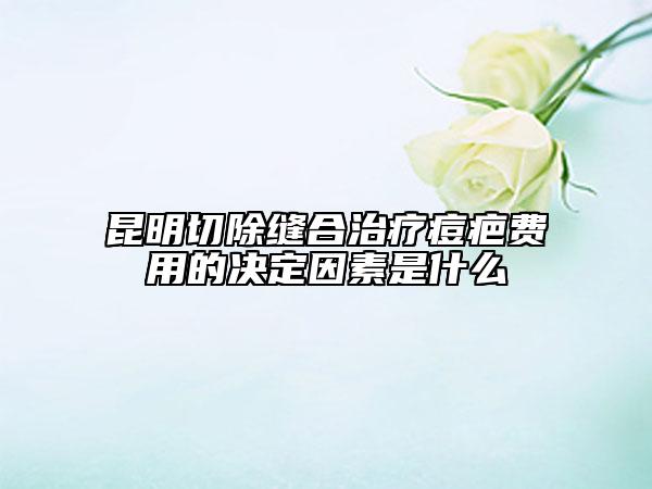 昆明切除缝合治疗痘疤费用的决定因素是什么