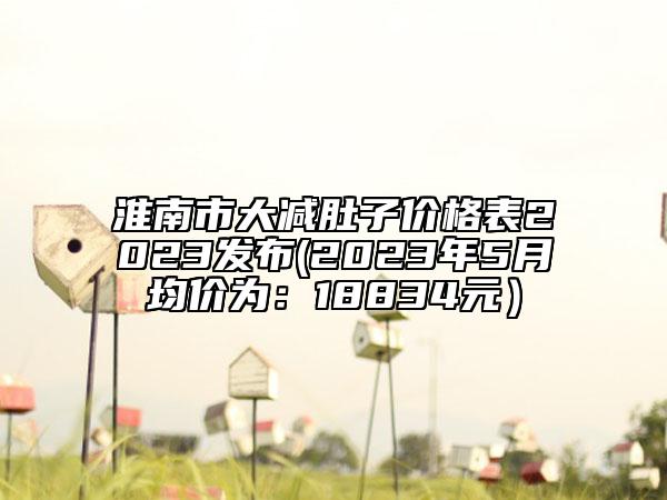淮南市大减肚子价格表2023发布(2023年5月均价为：18834元）