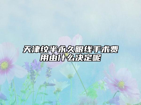 天津纹半永久眼线手术费用由什么决定呢