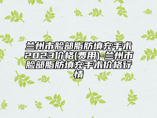 兰州市脸部脂肪填充手术2023价格(费用)-兰州市脸部脂肪填充手术价格行情