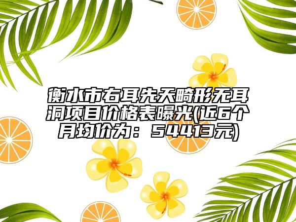 衡水市右耳先天畸形无耳洞项目价格表曝光(近6个月均价为：54413元)
