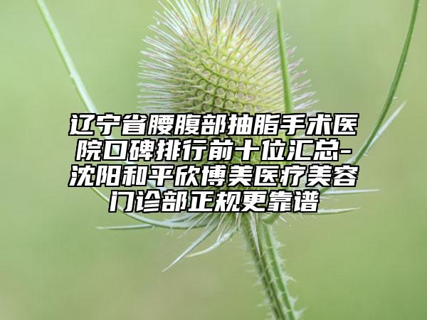 辽宁省腰腹部抽脂手术医院口碑排行前十位汇总-沈阳和平欣博美医疗美容门诊部正规更靠谱