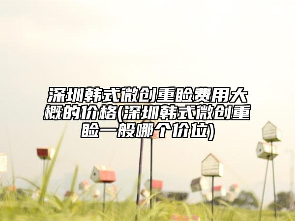 深圳韩式微创重睑费用大概的价格(深圳韩式微创重睑一般哪个价位)