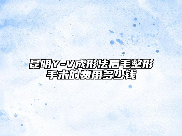 昆明Y-V成形法眉毛整形手术的费用多少钱