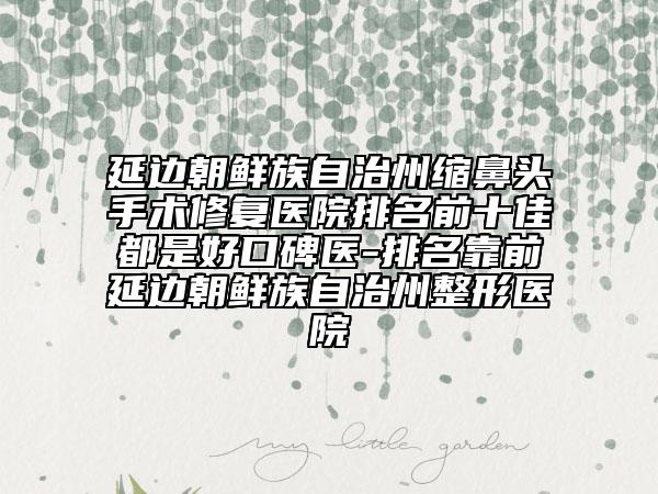 延边朝鲜族自治州缩鼻头手术修复医院排名前十佳都是好口碑医-排名靠前延边朝鲜族自治州整形医院