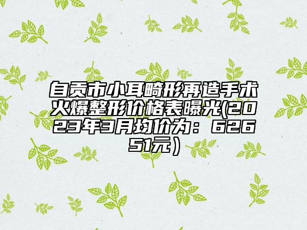 自贡市小耳畸形再造手术火爆整形价格表曝光(2023年3月均价为：62651元）