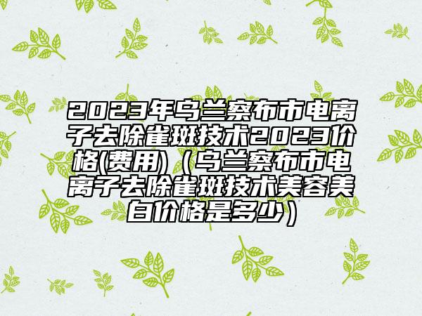 2023年乌兰察布市电离子去除雀斑技术2023价格(费用)（乌兰察布市电离子去除雀斑技术美容美白价格是多少）