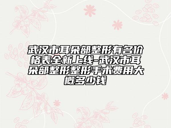 武汉市耳朵部整形有名价格表全新上线-武汉市耳朵部整形整形手术费用大概多少钱