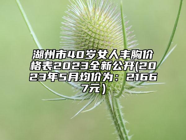 湖州市40岁女人丰胸价格表2023全新公开(2023年5月均价为：21667元）