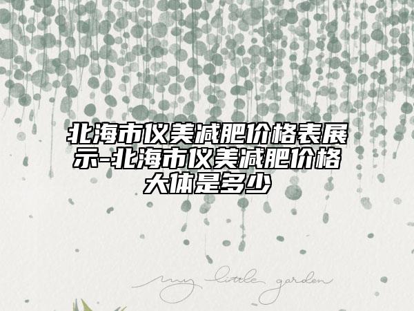 北海市仪美减肥价格表展示-北海市仪美减肥价格大体是多少