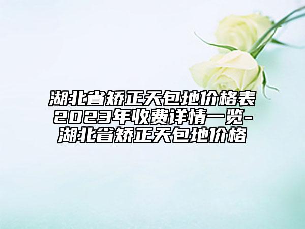 湖北省矫正天包地价格表2023年收费详情一览-湖北省矫正天包地价格