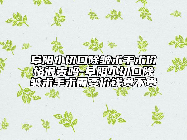 阜阳小切口除皱术手术价格很贵吗-阜阳小切口除皱术手术需要价钱贵不贵