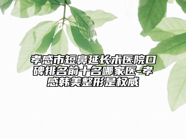孝感市短鼻延长术医院口碑排名前十名哪家医-孝感韩美整形是权威