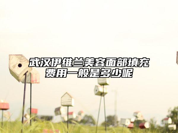 武汉伊维兰美容面部填充费用一般是多少呢
