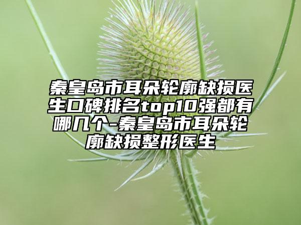 秦皇岛市耳朵轮廓缺损医生口碑排名top10强都有哪几个-秦皇岛市耳朵轮廓缺损整形医生