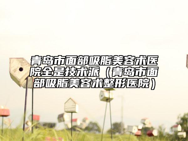 青岛市面部吸脂美容术医院全是技术派（青岛市面部吸脂美容术整形医院）